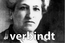 Het Vrouwennetwerk verbindt